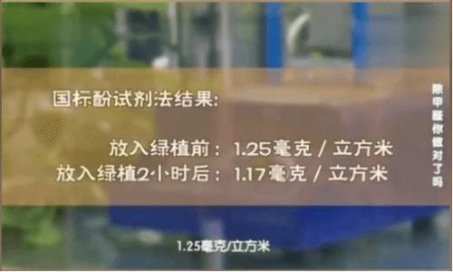 科学测评：绿萝除甲醛，到底有没有用？-图5