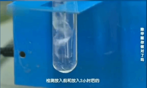 科学测评：绿萝除甲醛，到底有没有用？-图4