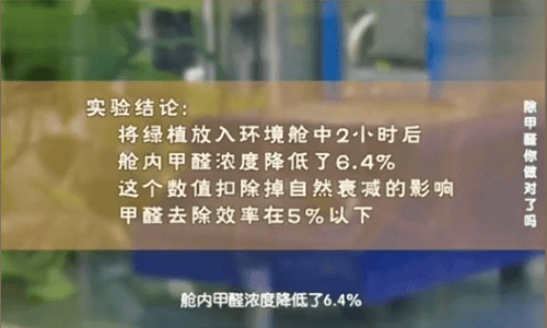 科学测评：绿萝除甲醛，到底有没有用？-图6