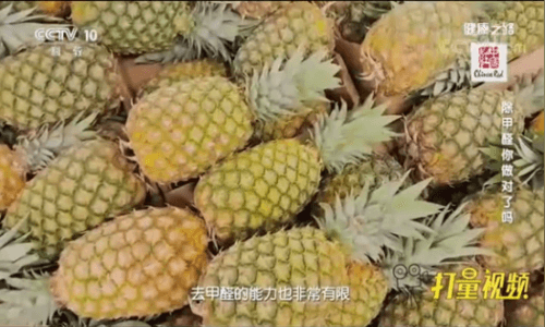 央视科普：你敢相信，菠萝和柚子皮无法去除甲醛！-图6