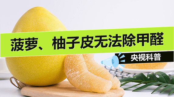 央视科普：菠萝和柚子皮能清楚新装修的甲醛？